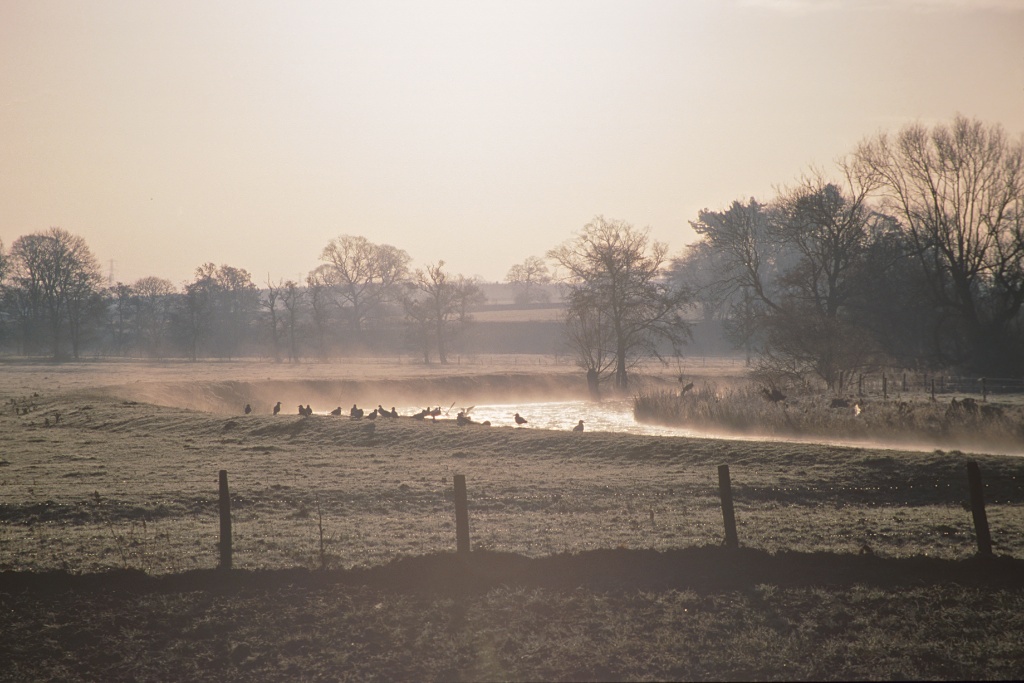 Northern Misty Morning